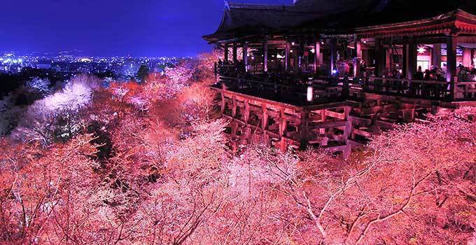 古都京都の文化財 京都府 滋賀県 日本世界遺産めぐりの旅